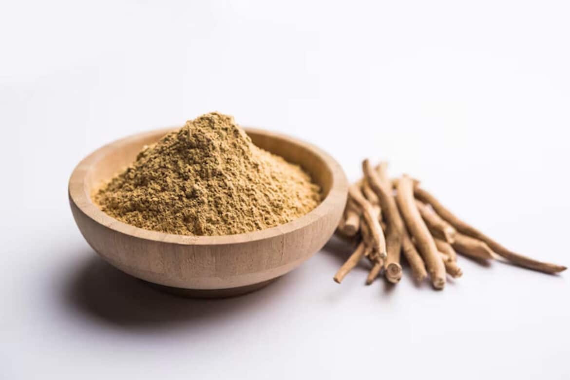 Ashwagandha en poudre dans un bol et en bâtons posés à côté