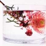 Une fleur de astaxanthine dans un verre d'eau